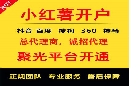 竞价广告的创意与执行：某快消品的营销突破